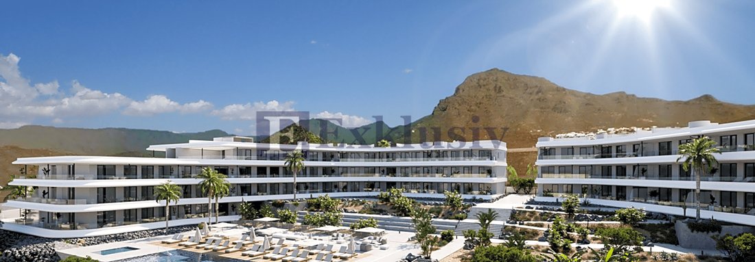 Apartment in Costa Adeje, Adeje, Canary Islands 2 - 15622450