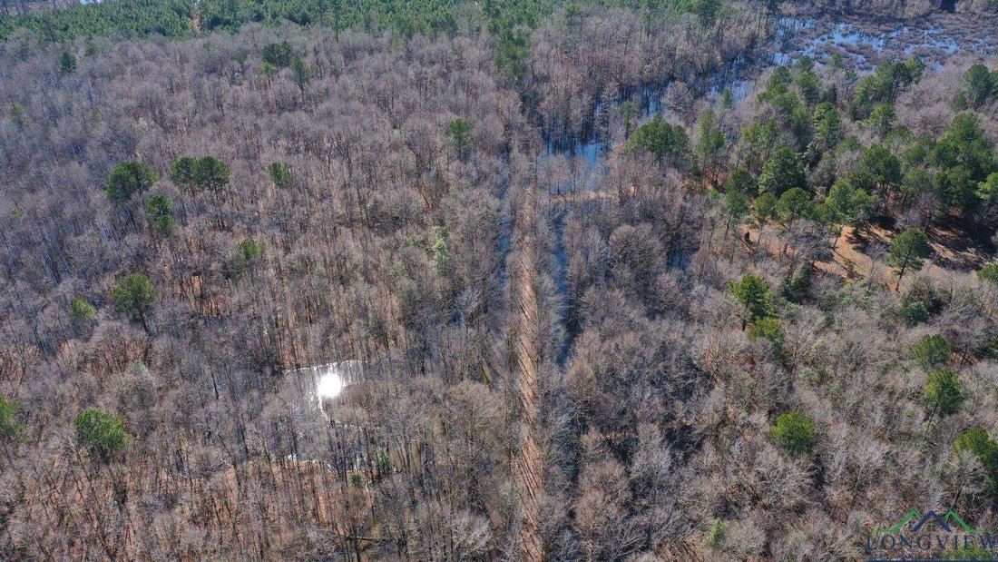 Land in Bivins, Texas, United States 3 - 15161839