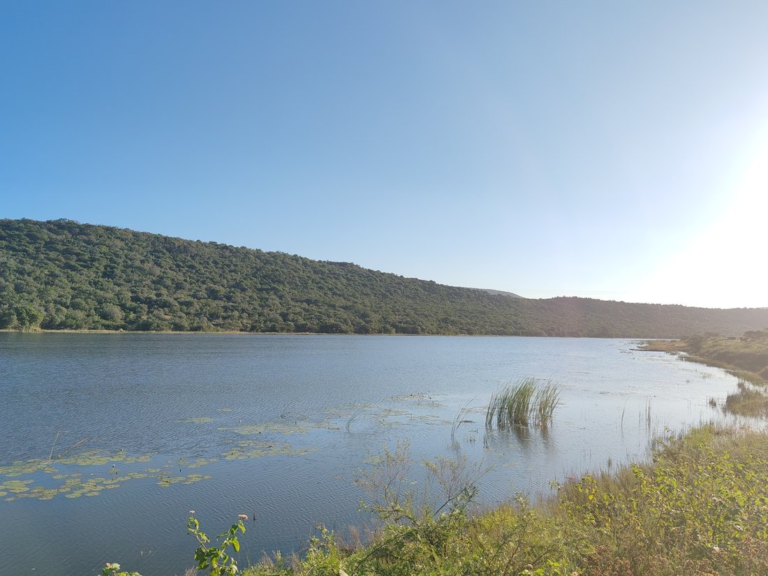 Farm Ranch in Qumrha, Eastern Cape, South Africa 2 - 15623572