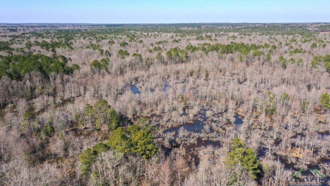 Land in Bivins, Texas, United States 2 - 15161839