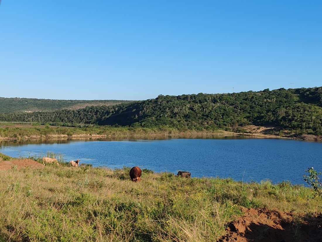Farm Ranch in Qumrha, Eastern Cape, South Africa 1 - 15623572