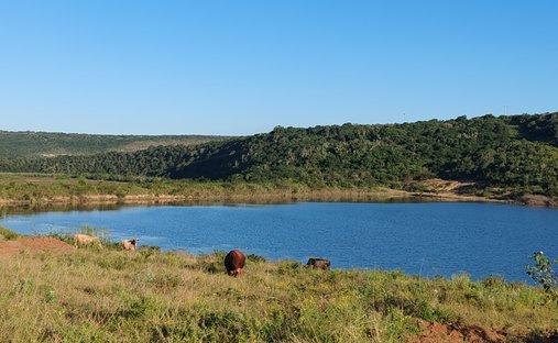 Farm Ranch in Qumrha, Eastern Cape, South Africa 1