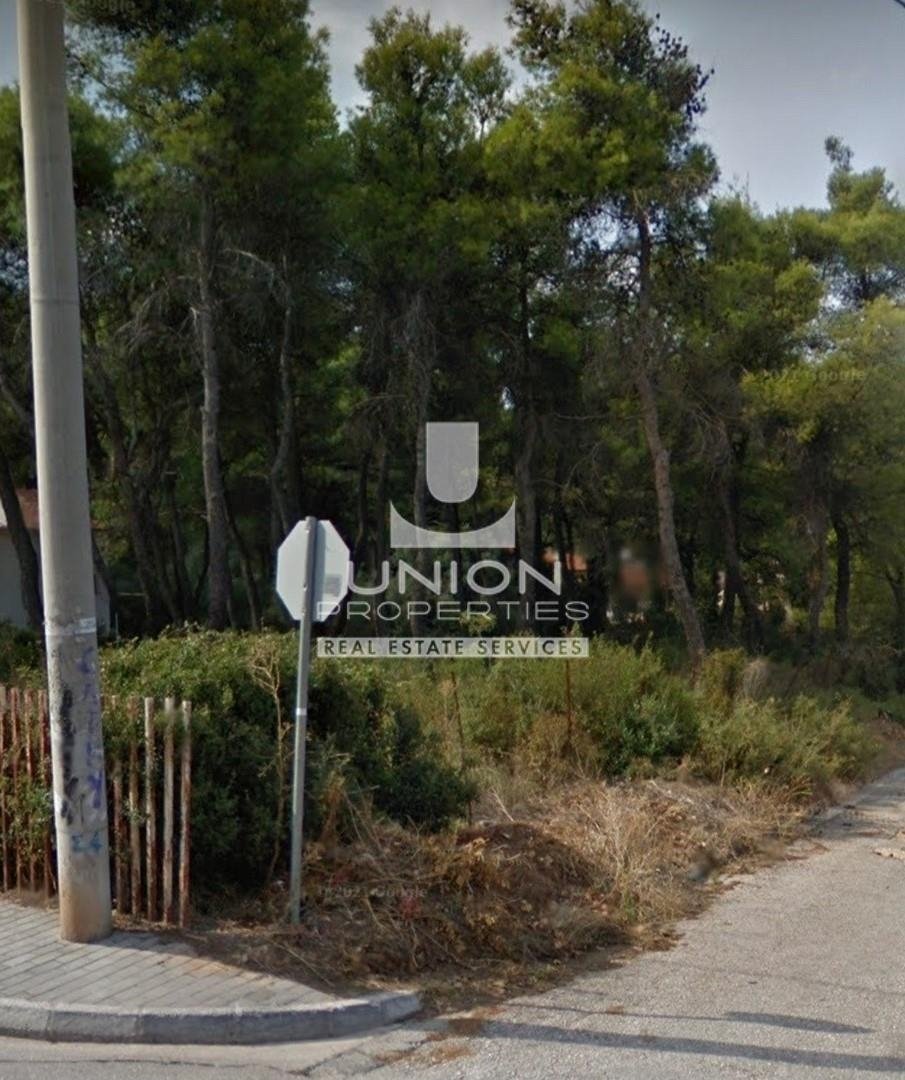 Land in Dionysos, Attica, Greece 3 - 15623438