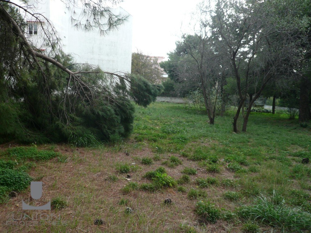 Land in Penteli, Attica, Greece 2 - 15622857