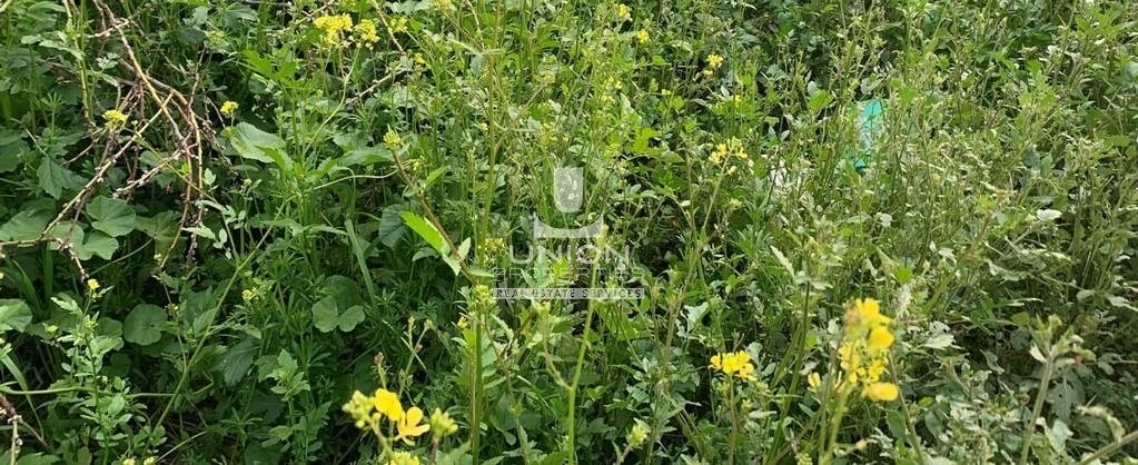 Land in Gerakas, Attica, Greece 2 - 15623359