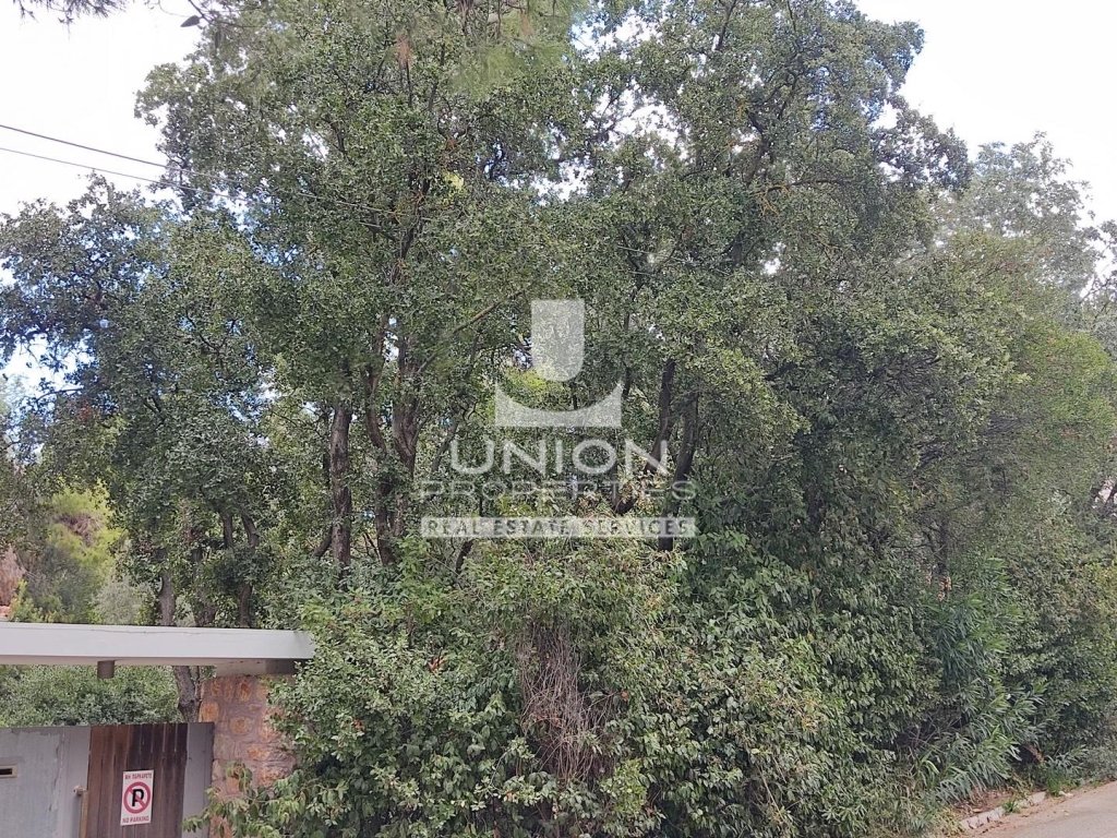 Land in Ekali, Attica, Greece 5 - 15623412