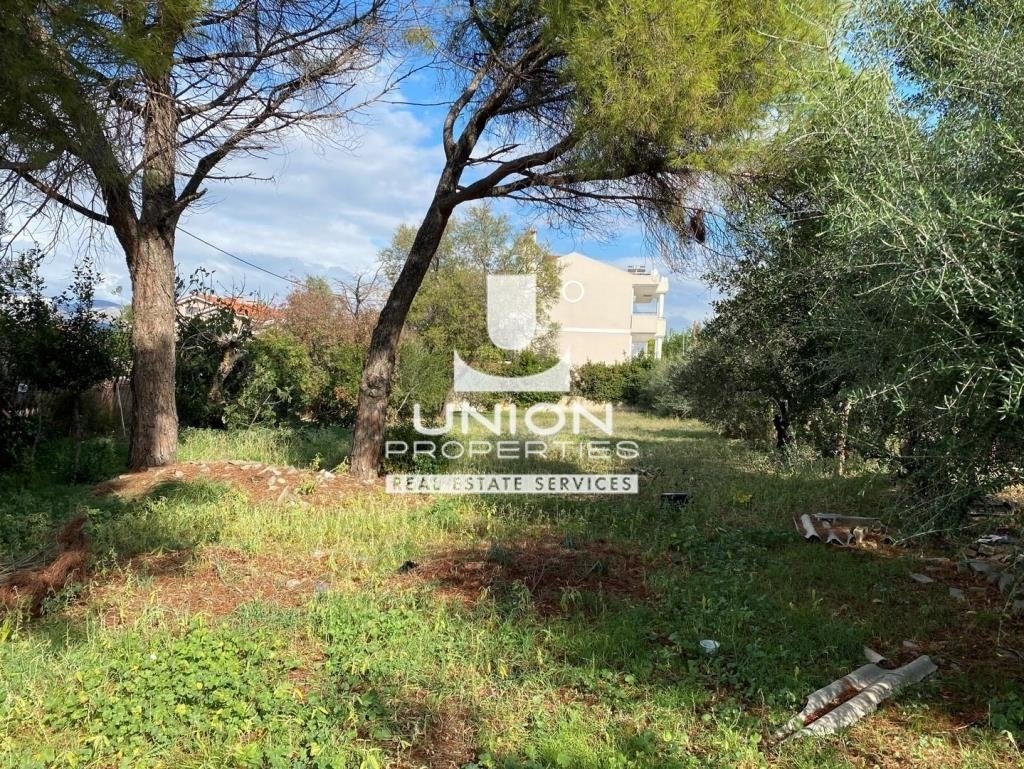 Land in Kifisia, Attica, Greece 3 - 15623422