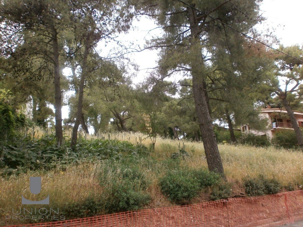Land in Ekali, Attica, Greece 1 - 15622702