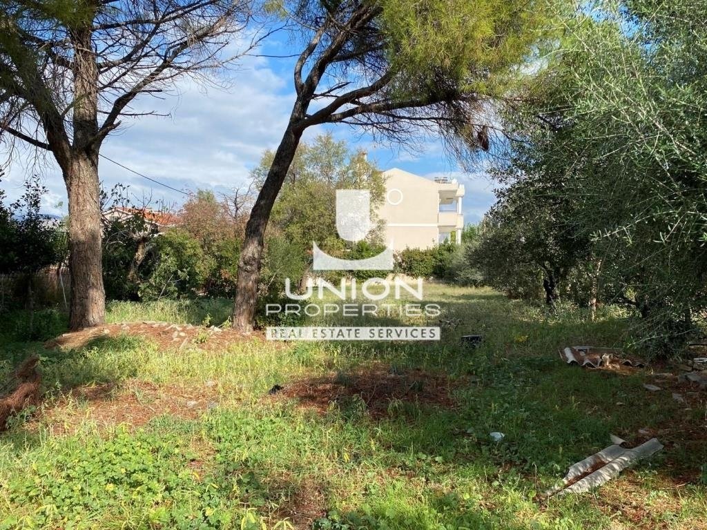 Land in Kifisia, Attica, Greece 4 - 15623422