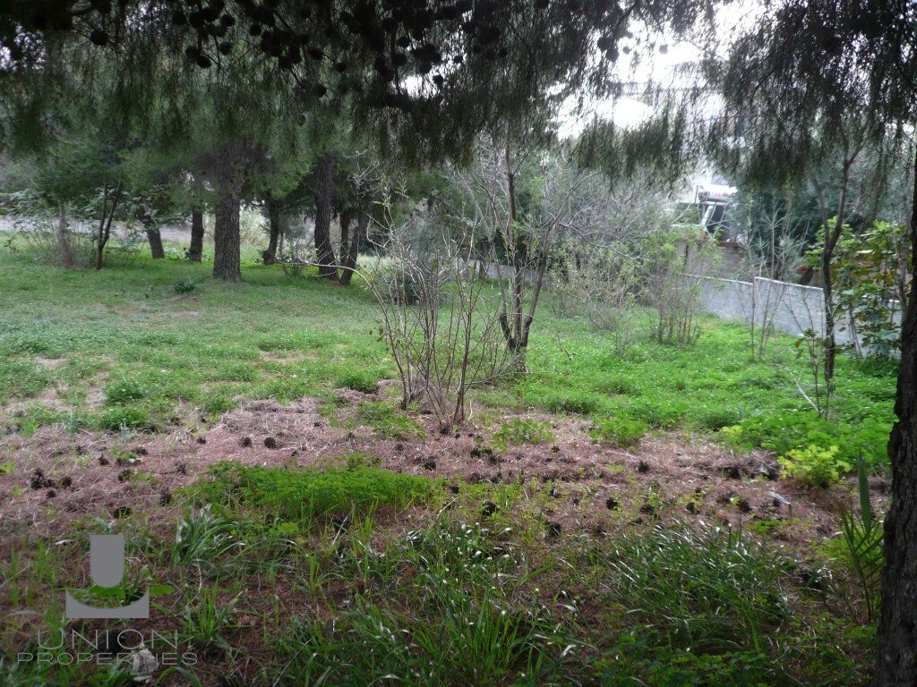 Land in Penteli, Attica, Greece 5 - 15622857