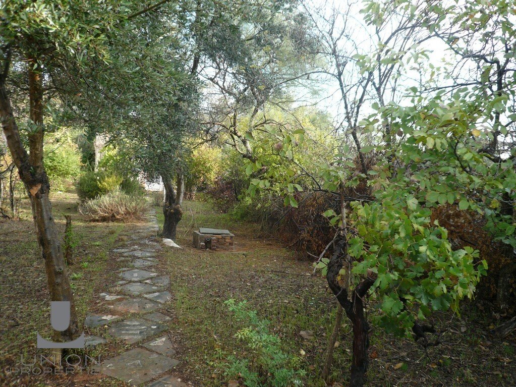 Land in Penteli, Attica, Greece 2 - 15623163