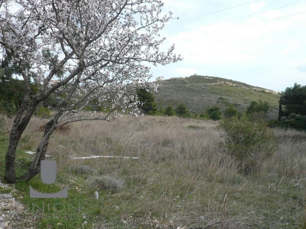 Land in Penteli, Attica, Greece 5 - 15623208