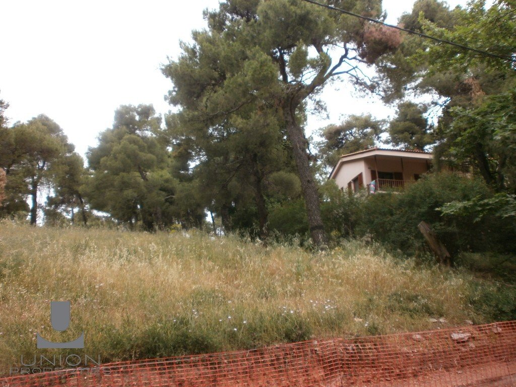 Land in Ekali, Attica, Greece 5 - 15622702
