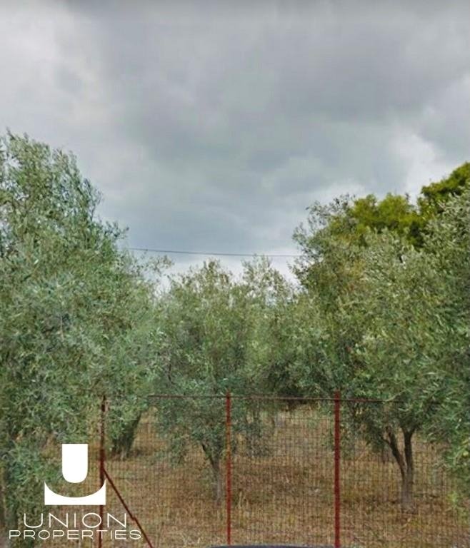 Land in Kifisia, Attica, Greece 2 - 15622832