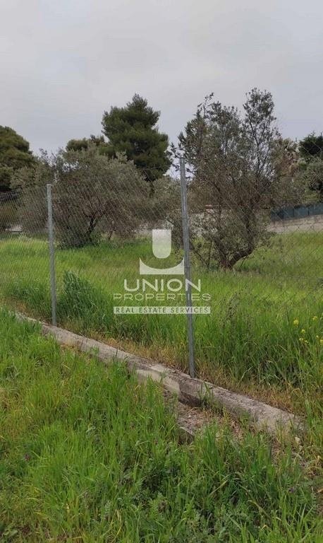 Land in Kifisia, Attica, Greece 3 - 15622985