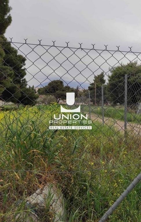 Land in Melissia, Attica, Greece 3 - 15623279