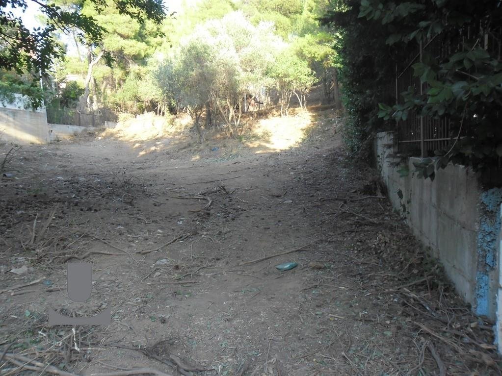 Land in Penteli, Attica, Greece 3 - 15622977