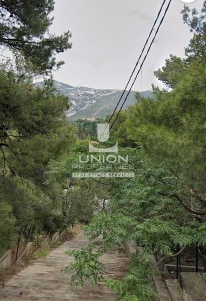 Land in Penteli, Attica, Greece 2 - 15622724