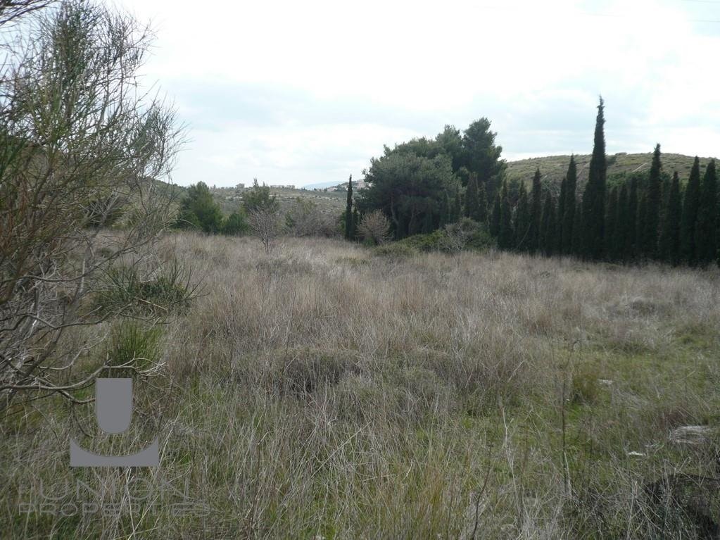 Land in Penteli, Attica, Greece 1 - 15623208