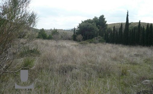 Land in Penteli, Attica, Greece 1