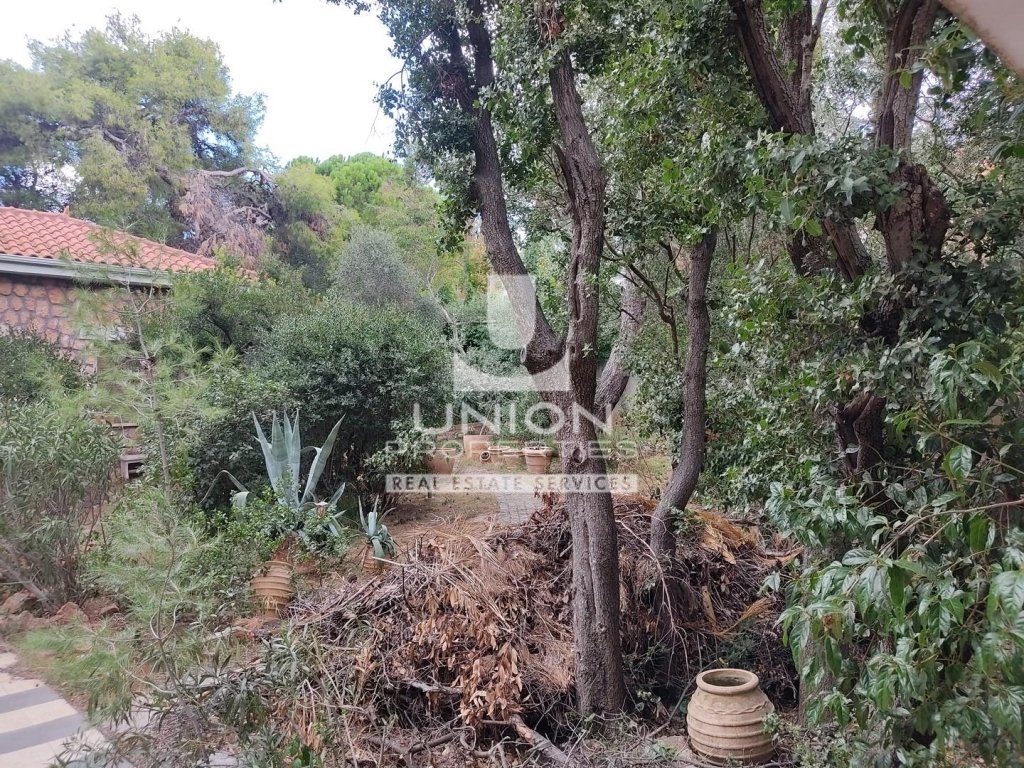 Land in Ekali, Attica, Greece 1 - 15623412