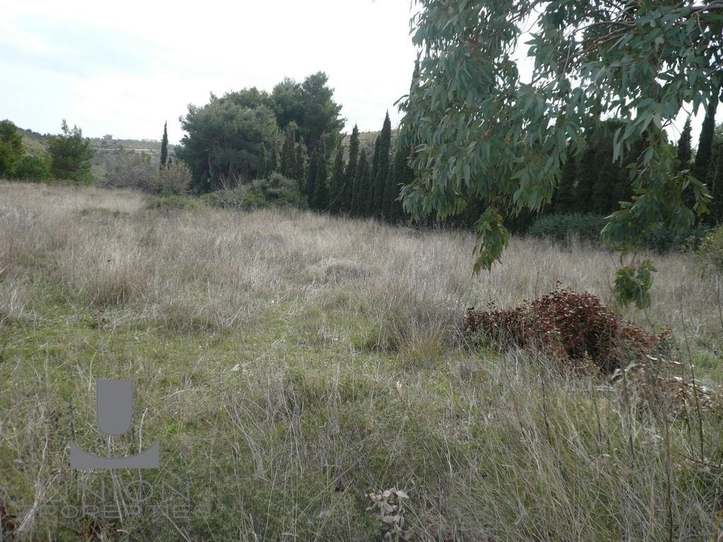 Land in Penteli, Attica, Greece 2 - 15623208