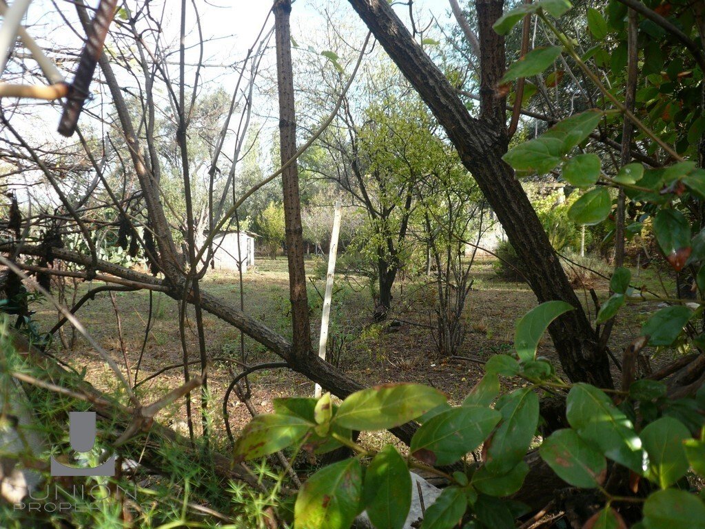 Land in Penteli, Attica, Greece 5 - 15623163