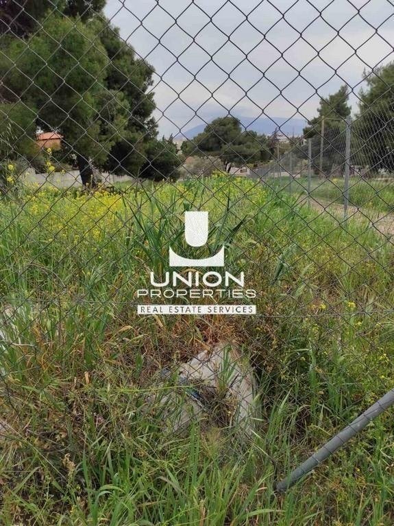 Land in Melissia, Attica, Greece 2 - 15623279