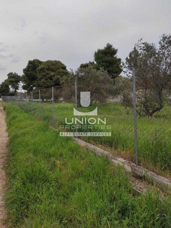 Land in Kifisia, Attica, Greece 5 - 15622985