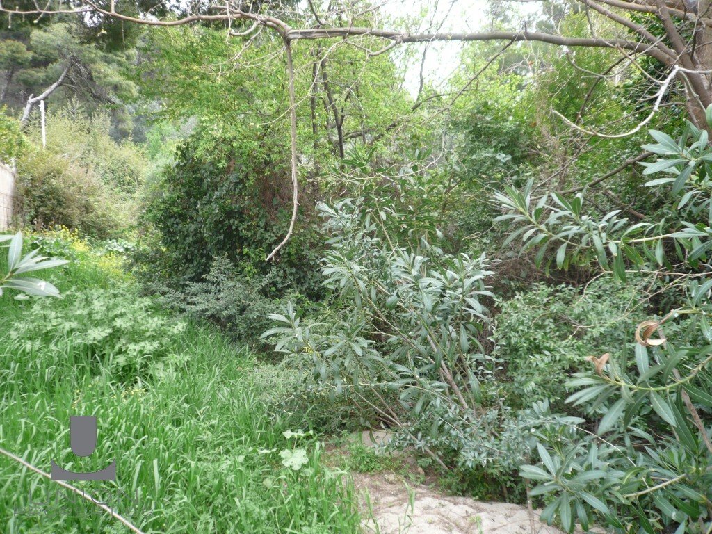 Land in Penteli, Attica, Greece 2 - 15622977
