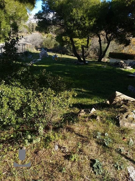 Land in Melissia, Attica, Greece 1 - 15623184