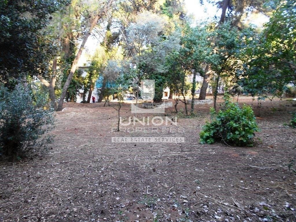 House in Ekali, Attica, Greece 2 - 15622849