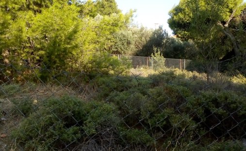 Terreno en Melissia, Ática, Grecia 1