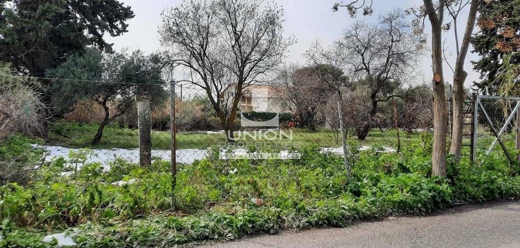 Land in Kifisia, Attica, Greece 4 - 15623260