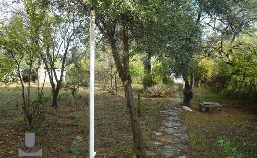 Land in Penteli, Attica, Greece 1