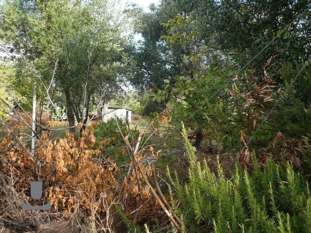 Land in Penteli, Attica, Greece 3 - 15623163
