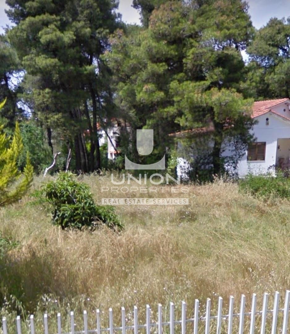Land in Dionysos, Attica, Greece 4 - 15623438