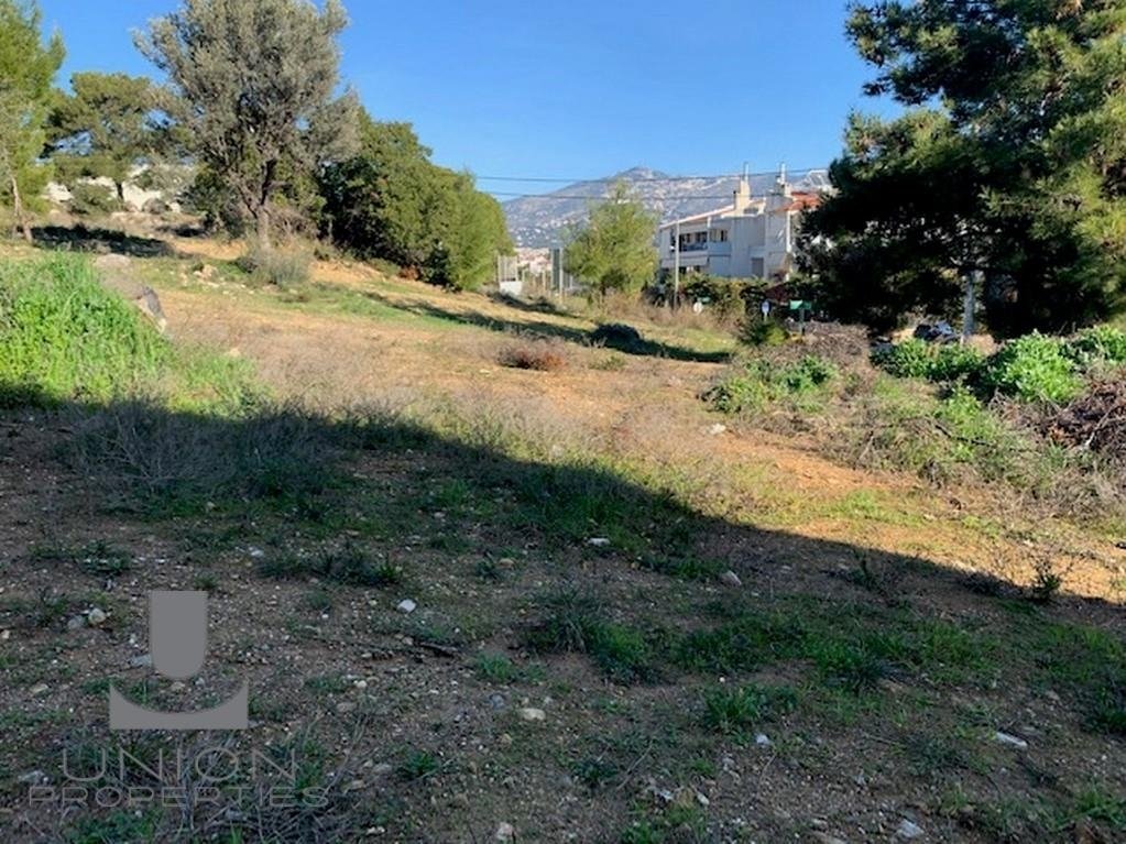 Land in Gerakas, Attica, Greece 4 - 15623192