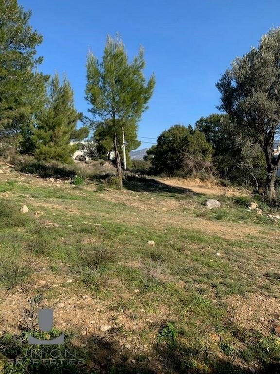 Land in Gerakas, Attica, Greece 5 - 15623192
