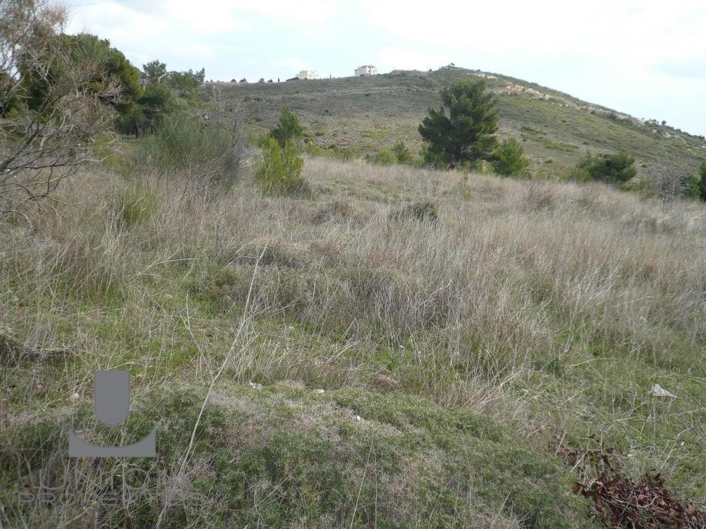 Land in Penteli, Attica, Greece 3 - 15623208
