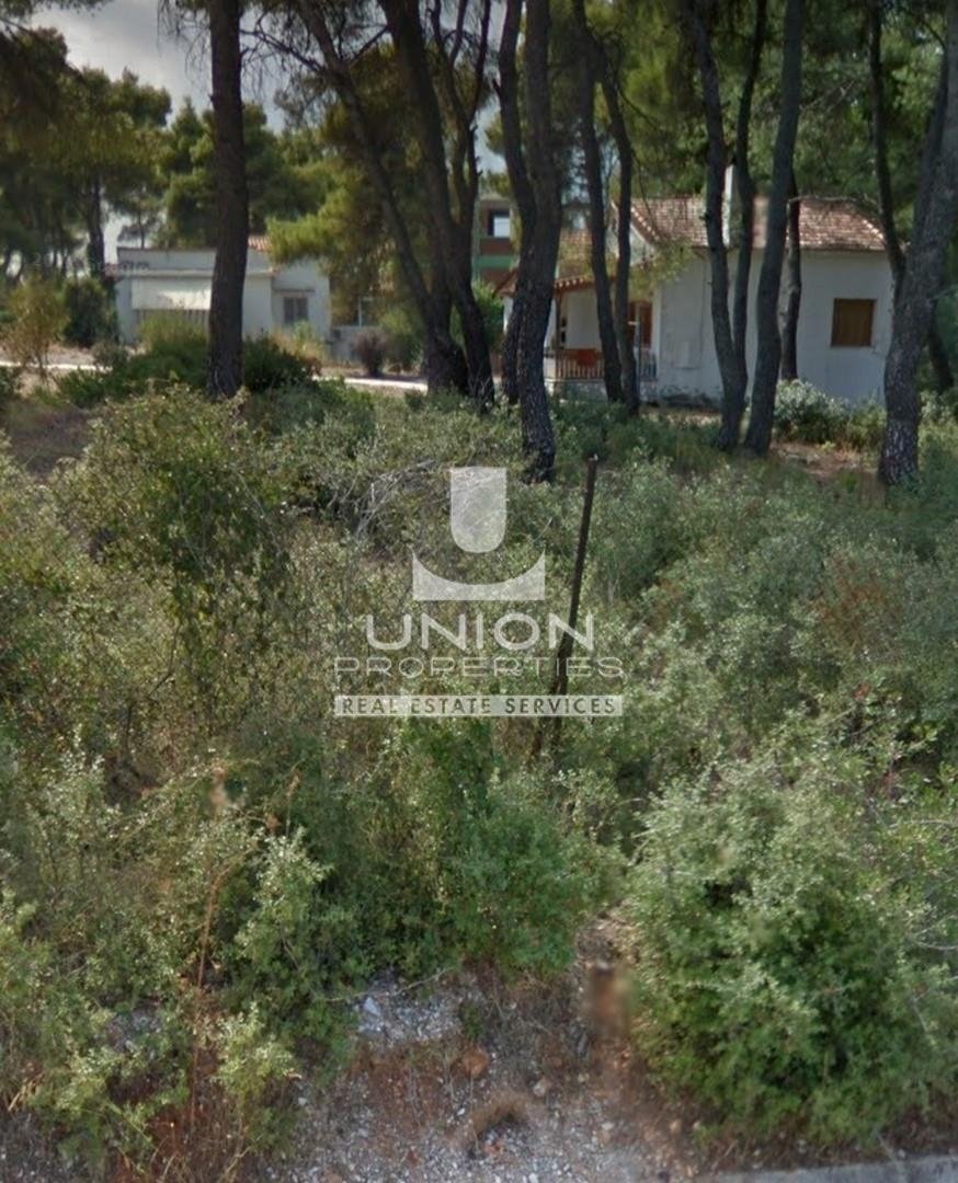 Land in Dionysos, Attica, Greece 5 - 15623438