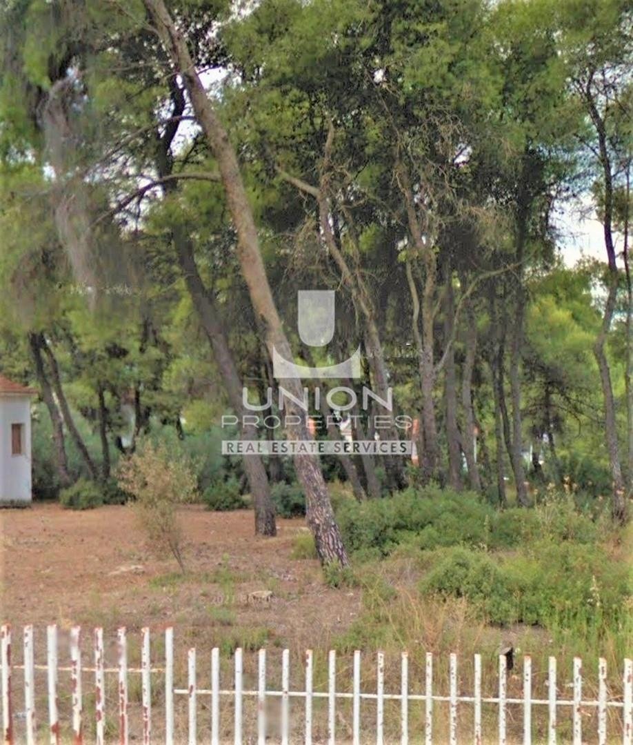 Land in Dionysos, Attica, Greece 1 - 15623438