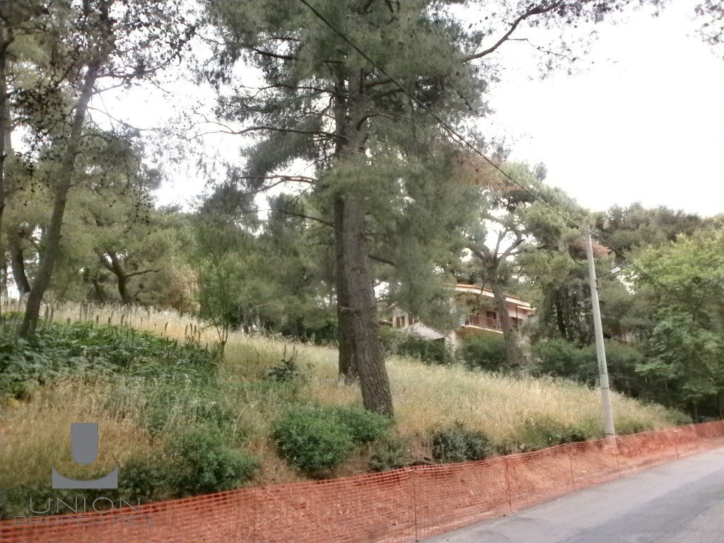 Land in Ekali, Attica, Greece 3 - 15622702