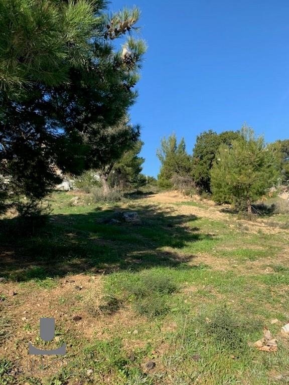 Land in Gerakas, Attica, Greece 2 - 15623186