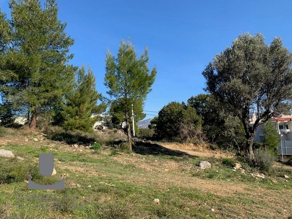 Land in Gerakas, Attica, Greece 1 - 15623192