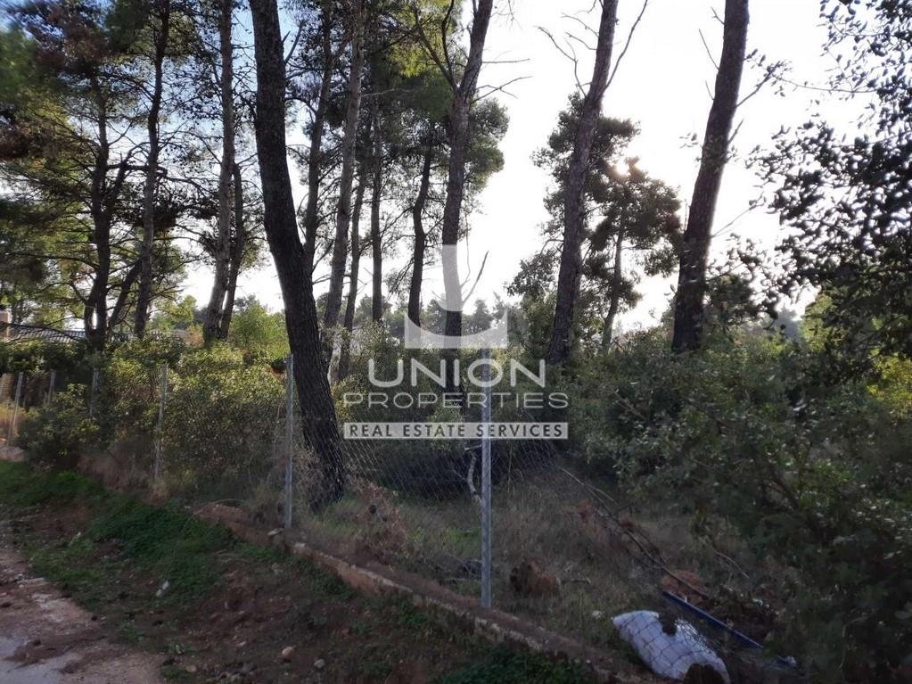 Land in Dionysos, Attica, Greece 3 - 15623335