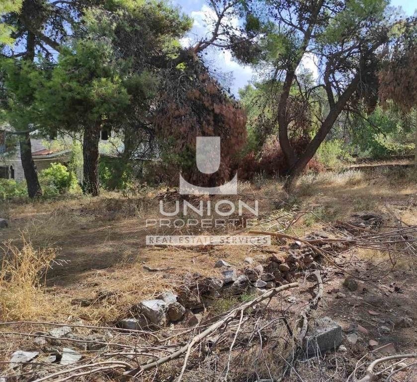 Land in Kifisia, Attica, Greece 1 - 15623302