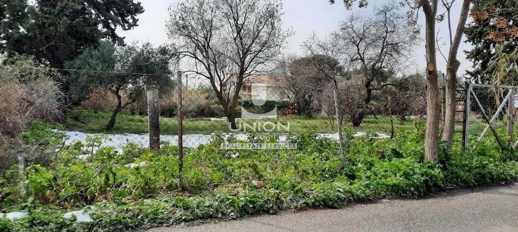 Land in Kifisia, Attica, Greece 1 - 15623260
