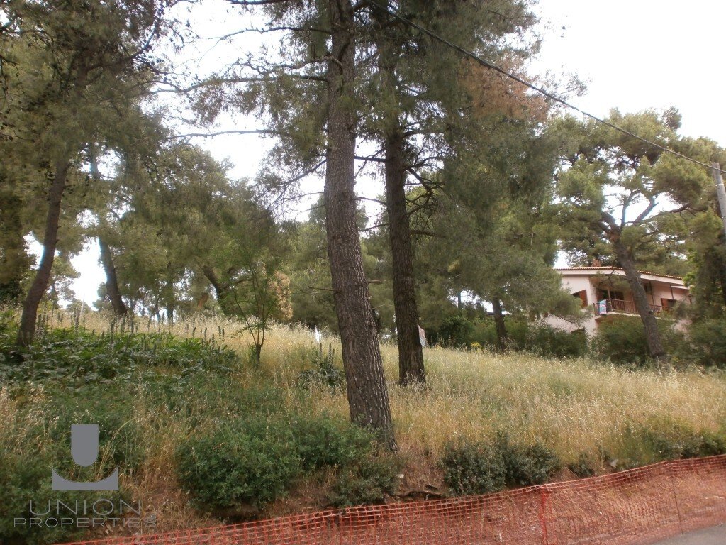 Land in Ekali, Attica, Greece 4 - 15622702