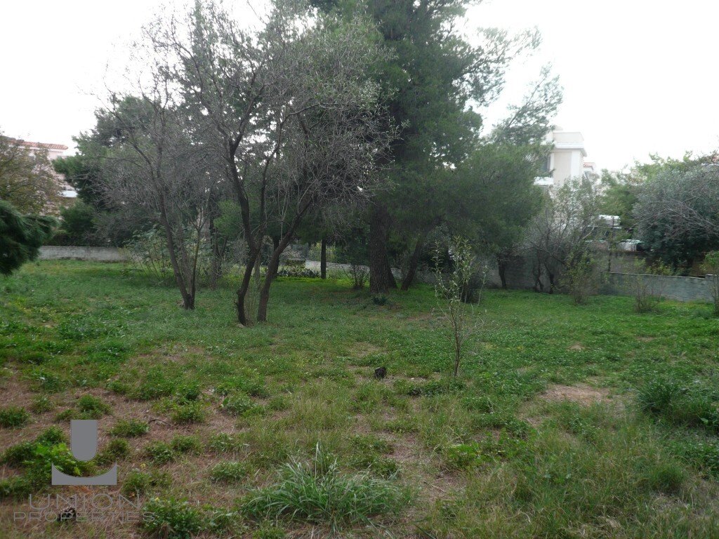 Land in Penteli, Attica, Greece 1 - 15622857